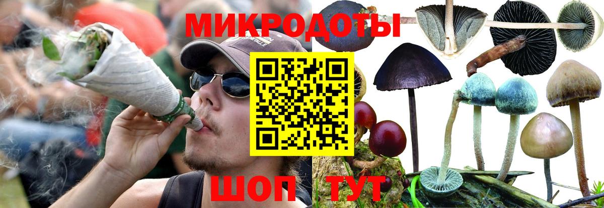 купить закладку  Вход с VPN  Приморско-Ахтарск  Галлюциногенные грибы прущие грибы 